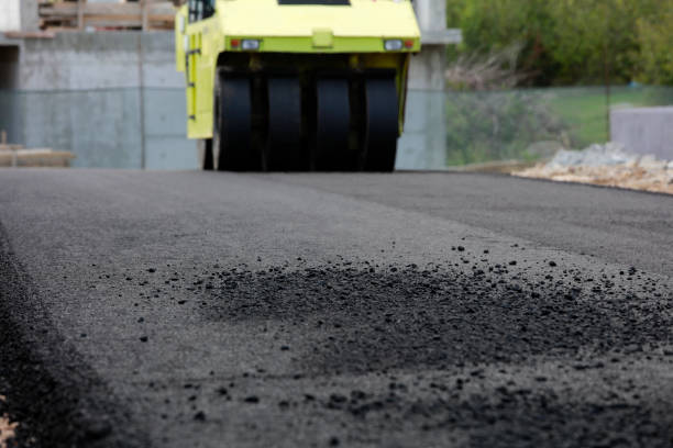 Best Driveway Pavers Near Me  in Tornillo, TX